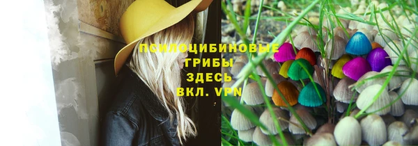 гидропоника Алексин