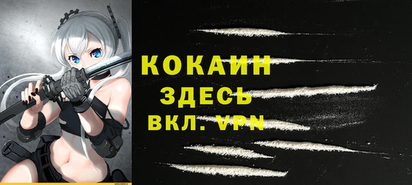 прущий лед Алзамай