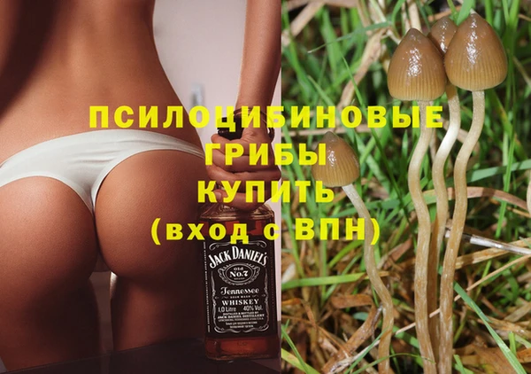 гидропоника Алексин